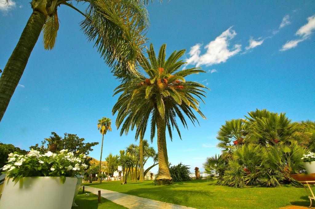 Caparena Hotel